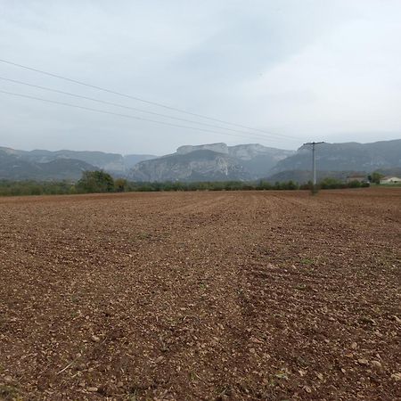 Royans-Vercors - Gite Chez Suzanne - 1-4 Personnes 圣托马昂鲁瓦扬 外观 照片