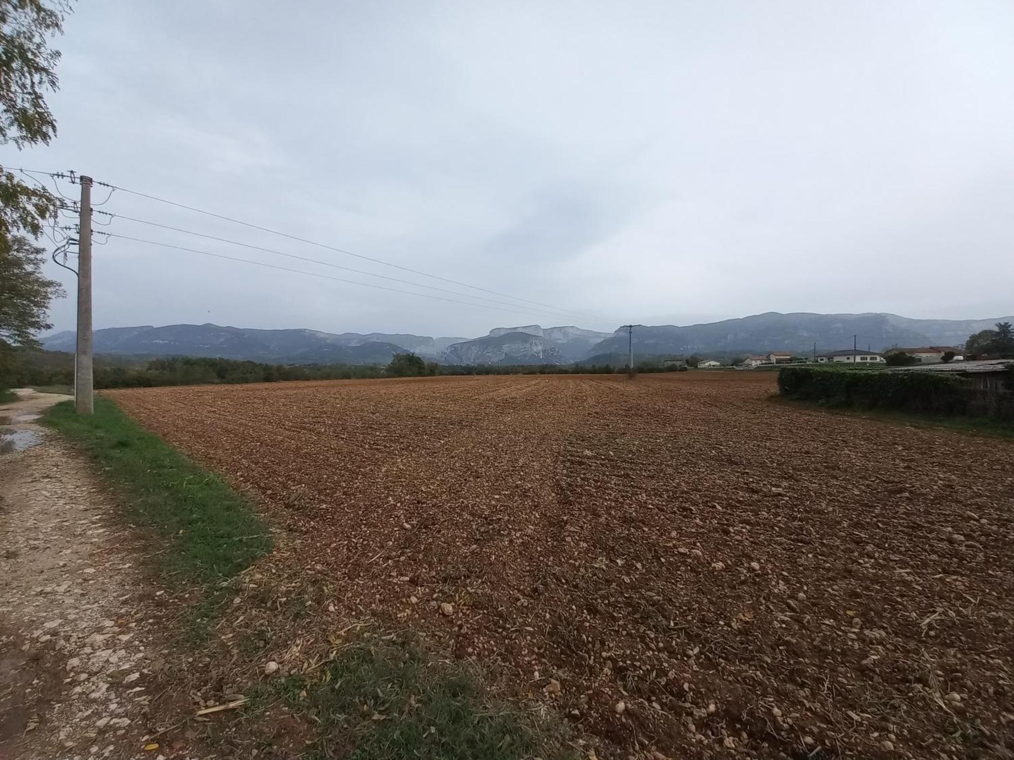 Royans-Vercors - Gite Chez Suzanne - 1-4 Personnes 圣托马昂鲁瓦扬 外观 照片